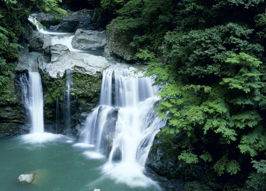 独步竹林