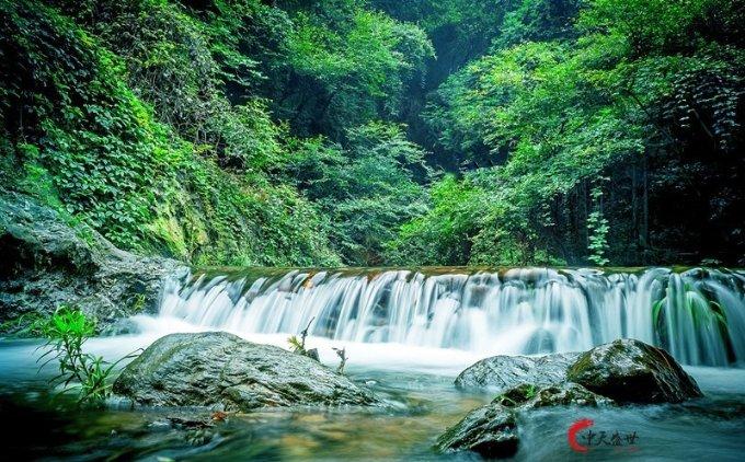 凤凰不好惹